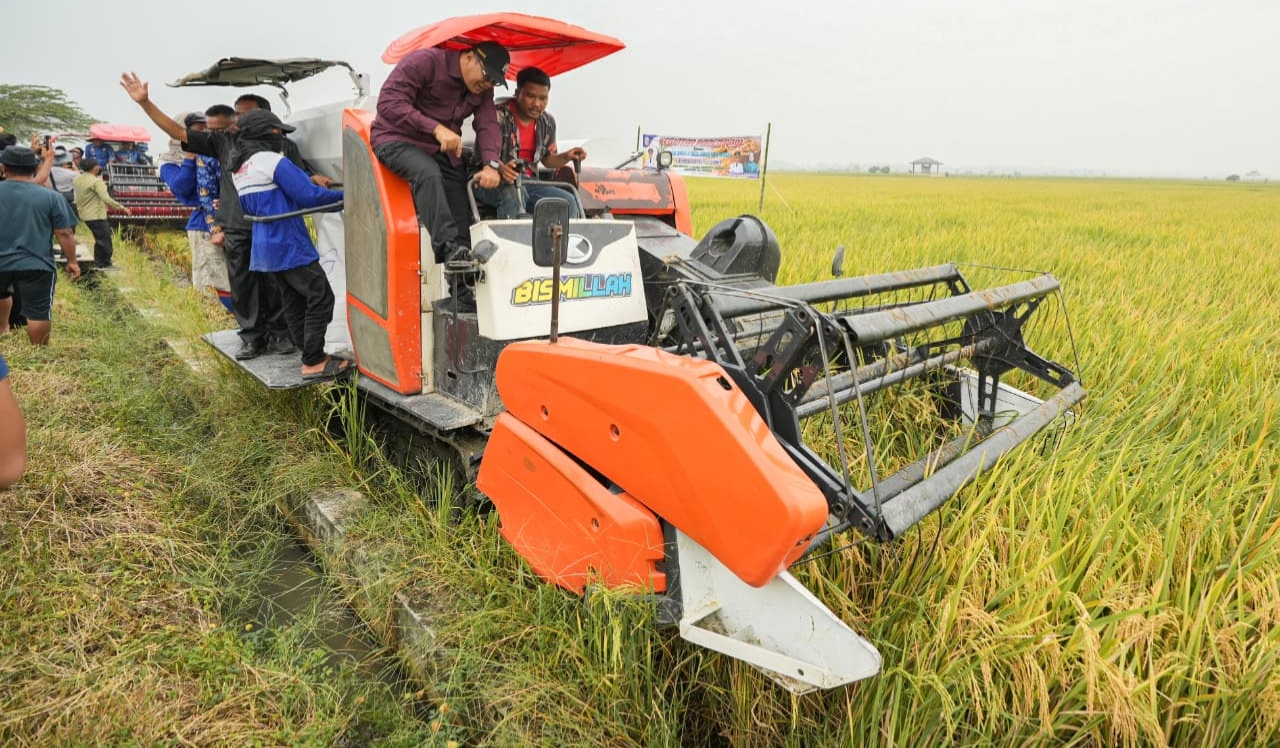 Bupati Deli Serdang Dialog Dengan Petani Desa Ramunia, Tampung Seluruh Aspirasi Dan Segera Ditindaklanjuti 4 Bupati Deli Serdang Dialog Dengan Petani Desa Ramunia, Tampung Seluruh Aspirasi Dan Segera Ditindaklanjuti - IMG 20260717 234547