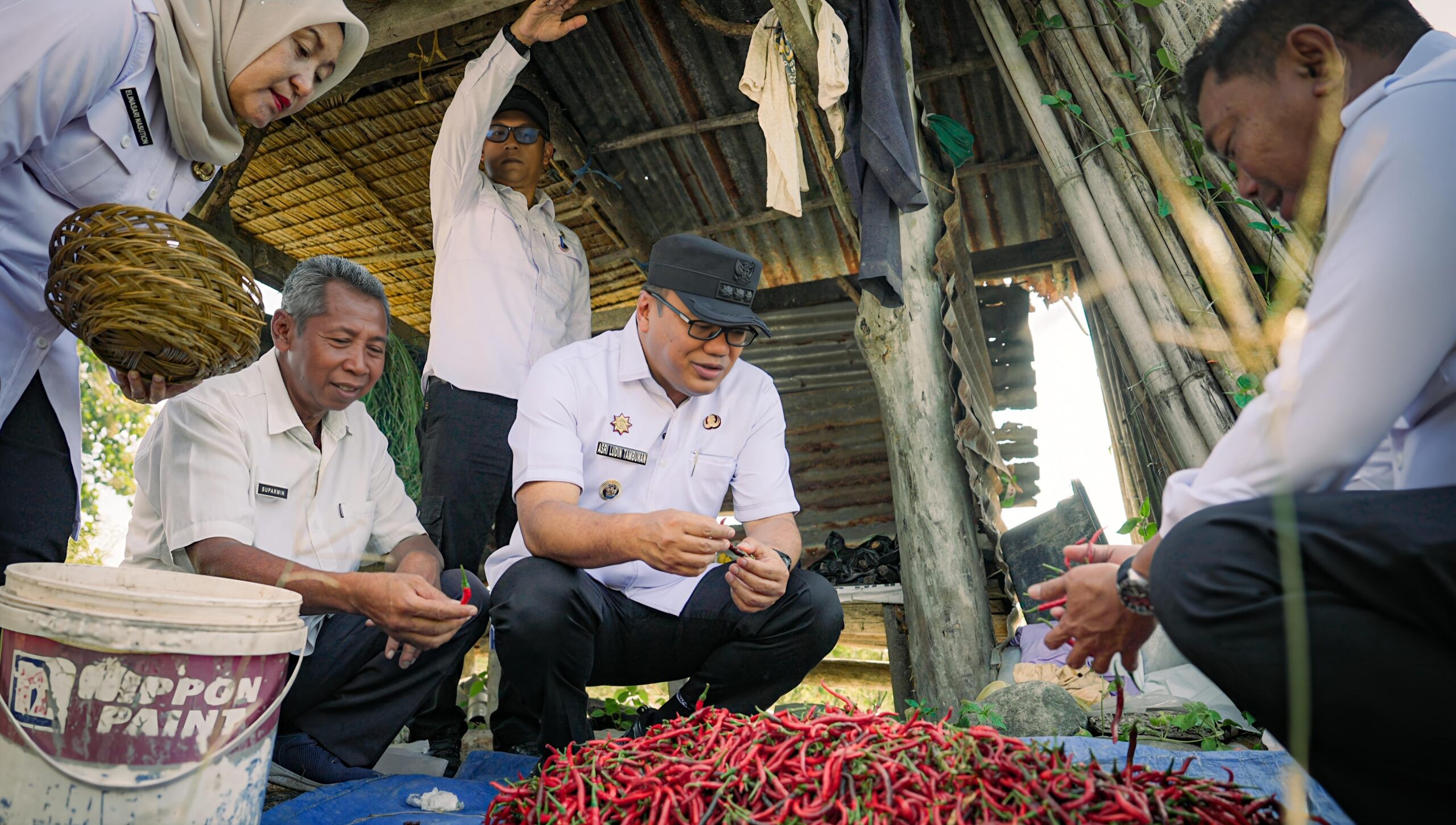Panen Cabai, Bupati Deli Serdang Tegaskan Pentingnya Pengawasan Distribusi Pupuk Bersubsidi 4 Panen Cabai, Bupati Deli Serdang Tegaskan Pentingnya Pengawasan Distribusi Pupuk Bersubsidi - IMG 20260808 073339 1 scaled