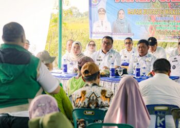 Panen Cabai, Bupati Deli Serdang Tegaskan Pentingnya Pengawasan Distribusi Pupuk Bersubsidi