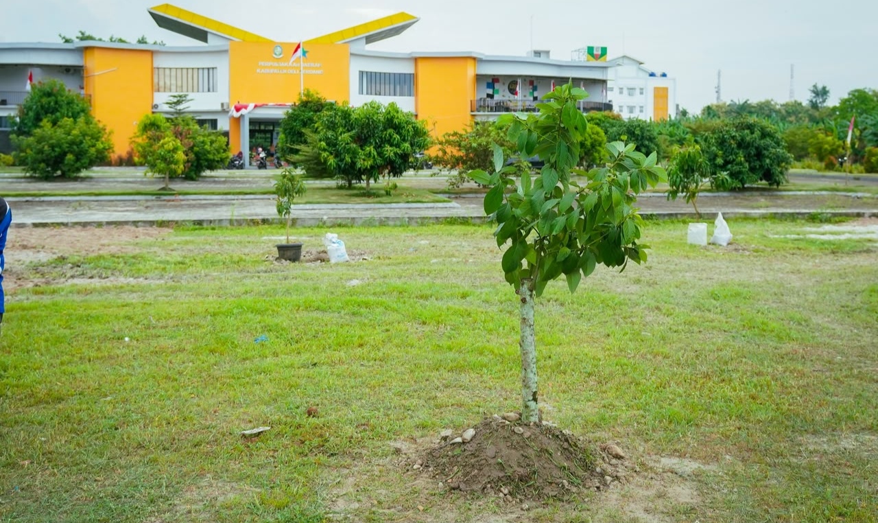 Pemkab Deli Serdang Mengganti Karangan Bunga HUT Ke-81 RI Dengan Menanam Pohon Alpukat 5 Pemkab Deli Serdang Mengganti Karangan Bunga HUT Ke-81 RI Dengan Menanam Pohon Alpukat - IMG 20260820 211851
