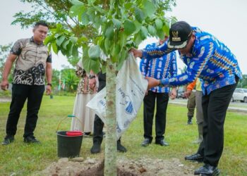 Pemkab Deli Serdang Mengganti Karangan Bunga HUT Ke-81 RI Dengan Menanam Pohon Alpukat