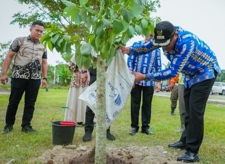 Pemkab Deli Serdang Mengganti Karangan Bunga HUT Ke-81 RI Dengan Menanam Pohon Alpukat 2 Pemkab Deli Serdang Mengganti Karangan Bunga HUT Ke-81 RI Dengan Menanam Pohon Alpukat