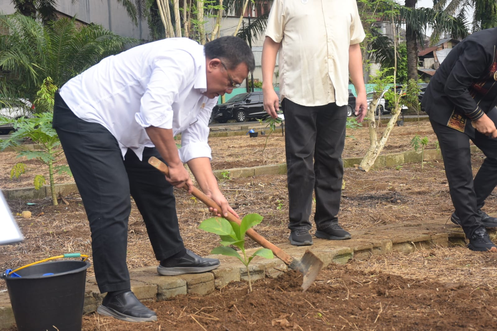 Gerakan Penanaman Pohon Jati Merah Di Kebun Percobaan Agroforestri FP UISU Medan 4 Gerakan Penanaman Pohon Jati Merah Di Kebun Percobaan Agroforestri FP UISU Medan - IMG 20260906 WA0000