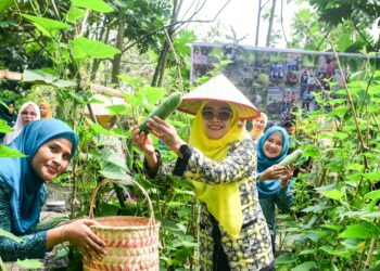 TP PKK Deli Serdang Monitoring Kegiatan Di Kelurahan Paluh Kemiri Dan Syahmad