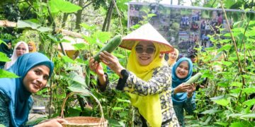 TP PKK Deli Serdang Monitoring Kegiatan Di Kelurahan Paluh Kemiri Dan Syahmad