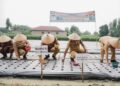 Pemkab Deli Serdang Penuhi Permintaan Petani Lakukan Budidaya Bawang Merah 8 Pemkab Deli Serdang Penuhi Permintaan Petani Lakukan Budidaya Bawang Merah