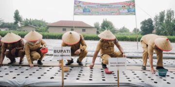 Pemkab Deli Serdang Penuhi Permintaan Petani Lakukan Budidaya Bawang Merah 
