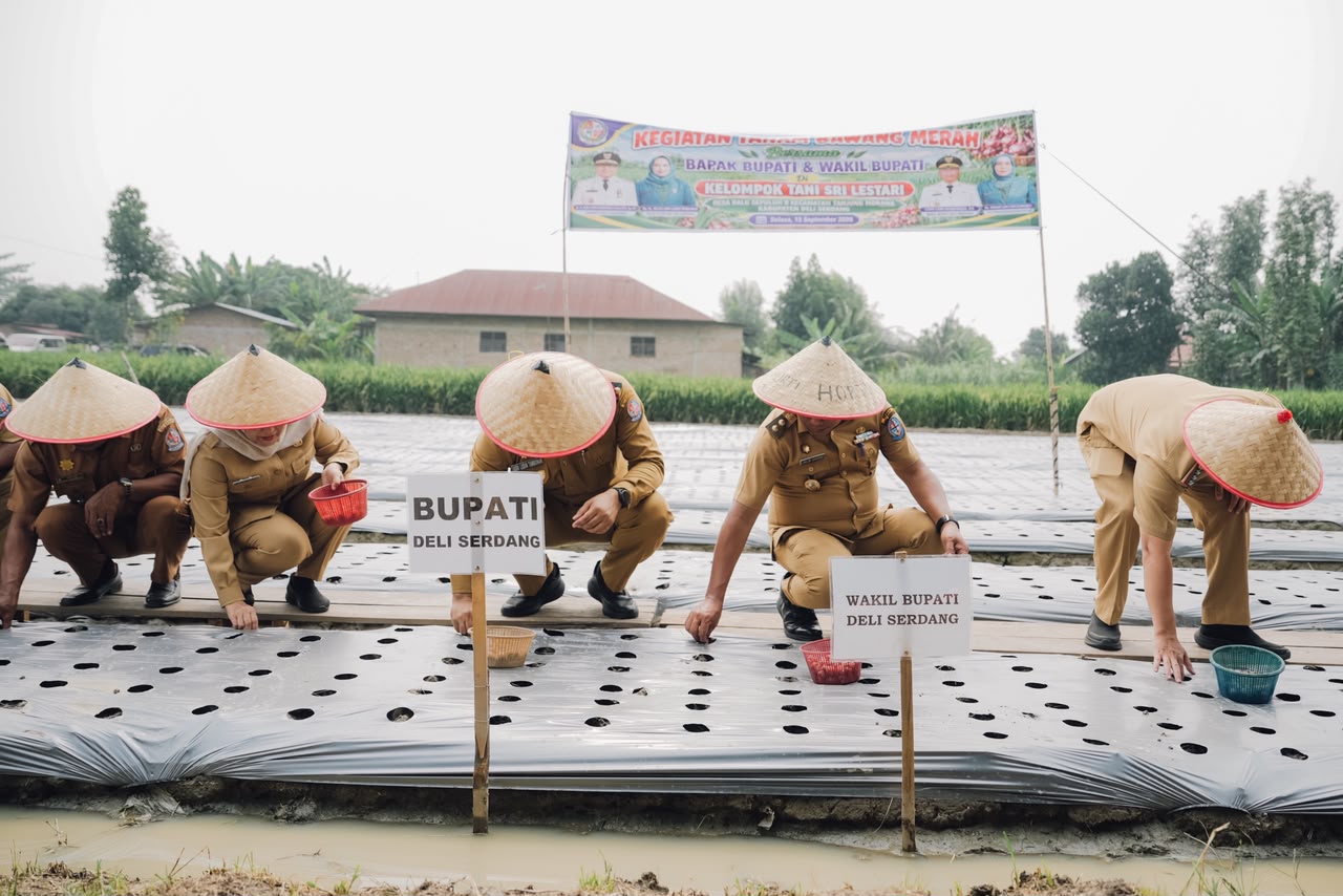 Pemkab Deli Serdang Penuhi Permintaan Petani Lakukan Budidaya Bawang Merah  - IMG 20260916 WA0003