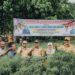 Lahan Tanam Cabai Merah Di Beringin Bertambah, Bupati Asri Ludin Apresiasi Dan Siap Dukung Kebutuhan Petani