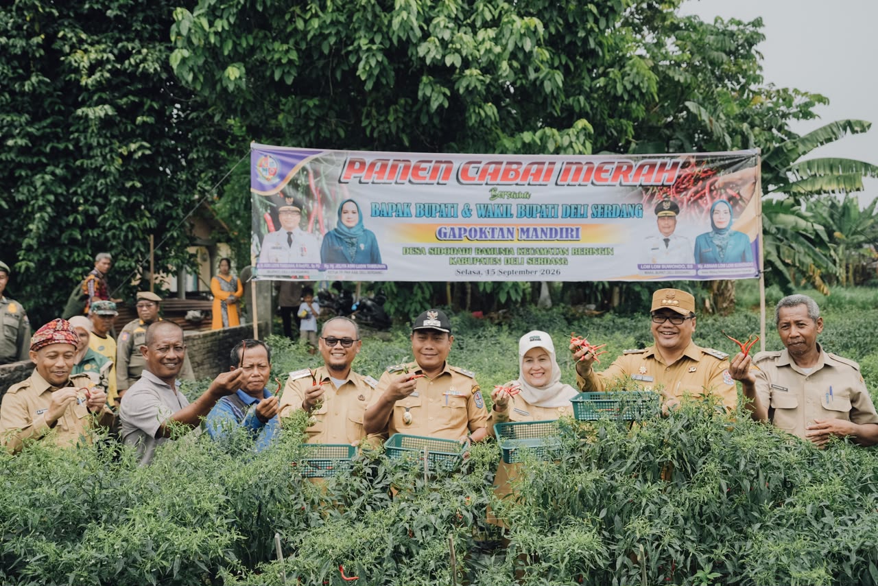 Lahan Tanam Cabai Merah Di Beringin Bertambah, Bupati Asri Ludin Apresiasi Dan Siap Dukung Kebutuhan Petani 3 Lahan Tanam Cabai Merah Di Beringin Bertambah, Bupati Asri Ludin Apresiasi Dan Siap Dukung Kebutuhan Petani - IMG 20260916 WA0010
