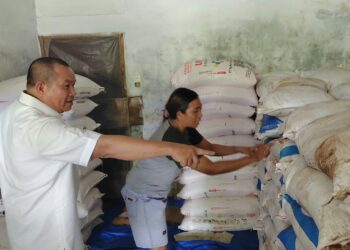 Kebutuhan Pupuk NPK Bersubsidi Di Kecamatan Namorambe Bertambah, Serapan Belum Maksimal 