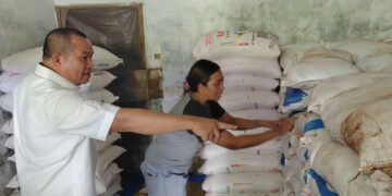 Kebutuhan Pupuk NPK Bersubsidi Di Kecamatan Namorambe Bertambah, Serapan Belum Maksimal 