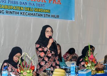TP PKK Deli Serdang Monitoring UP2K Kecamatan STM Hilir