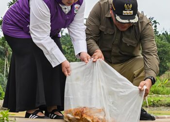 Bupati Deli Serdang Tebar 10 Ribu Benih Ikan Mas Di Desa Limau Mungkur 