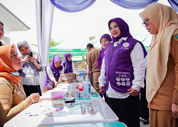 Posyandu Mawar Desa Pasar VI Kualanamu Miliki Kesiapan Mewakili Deli Serdang, Karena Pelayanan Telah Dikembangkan Secara Terintegrasi