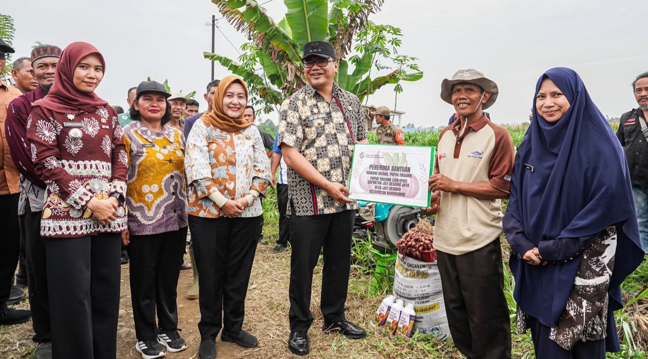 Namorambe Dikembangkan Sebagai Sentra Budidaya Bawang Merah, Bupati Deli Serdang Lakukan Tanam Perdana  - IMG 20260926 090226