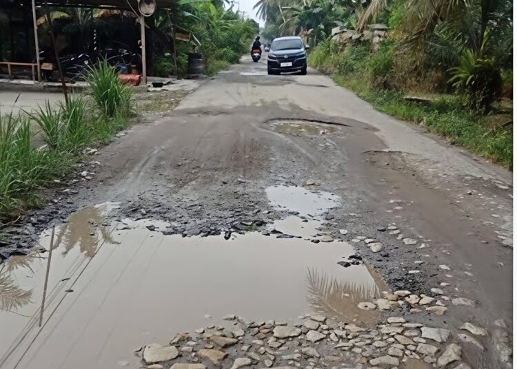Bobby Nasution Targetkan Pengaspalan Jalan Kawasan Pesisir Labuhan Batu Sepanjang 16 Km Pada 2027